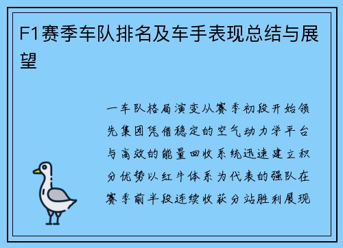 F1赛季车队排名及车手表现总结与展望